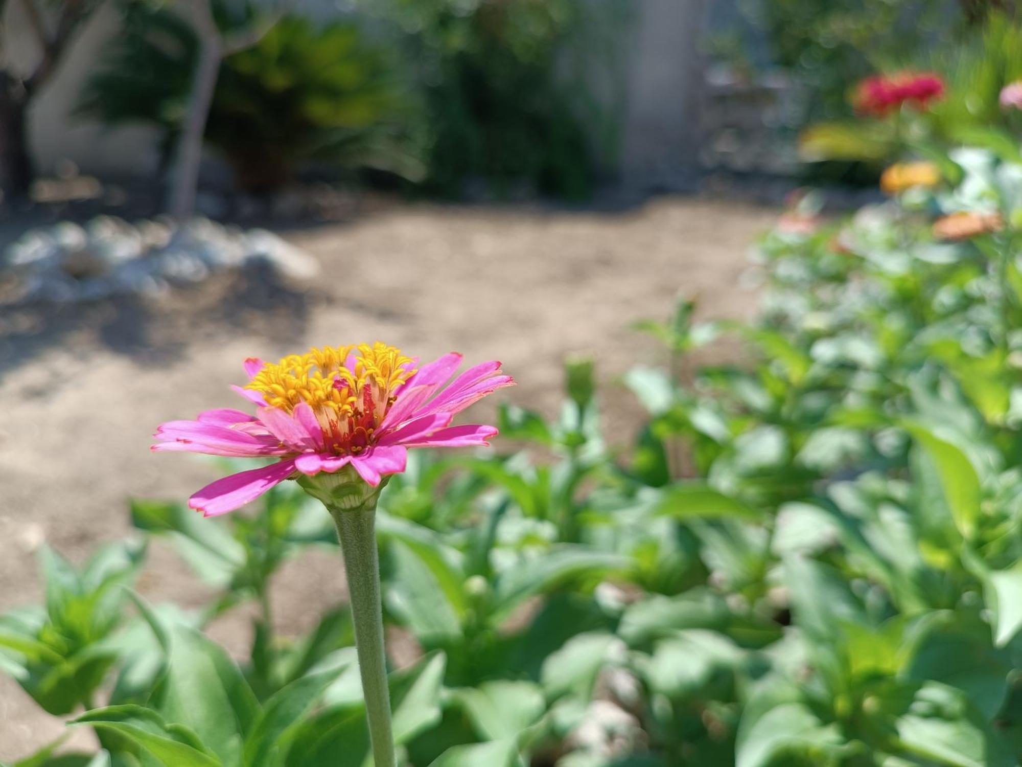Il Giardino Di Sofia Charm And Comfort * Torre dell'Orso