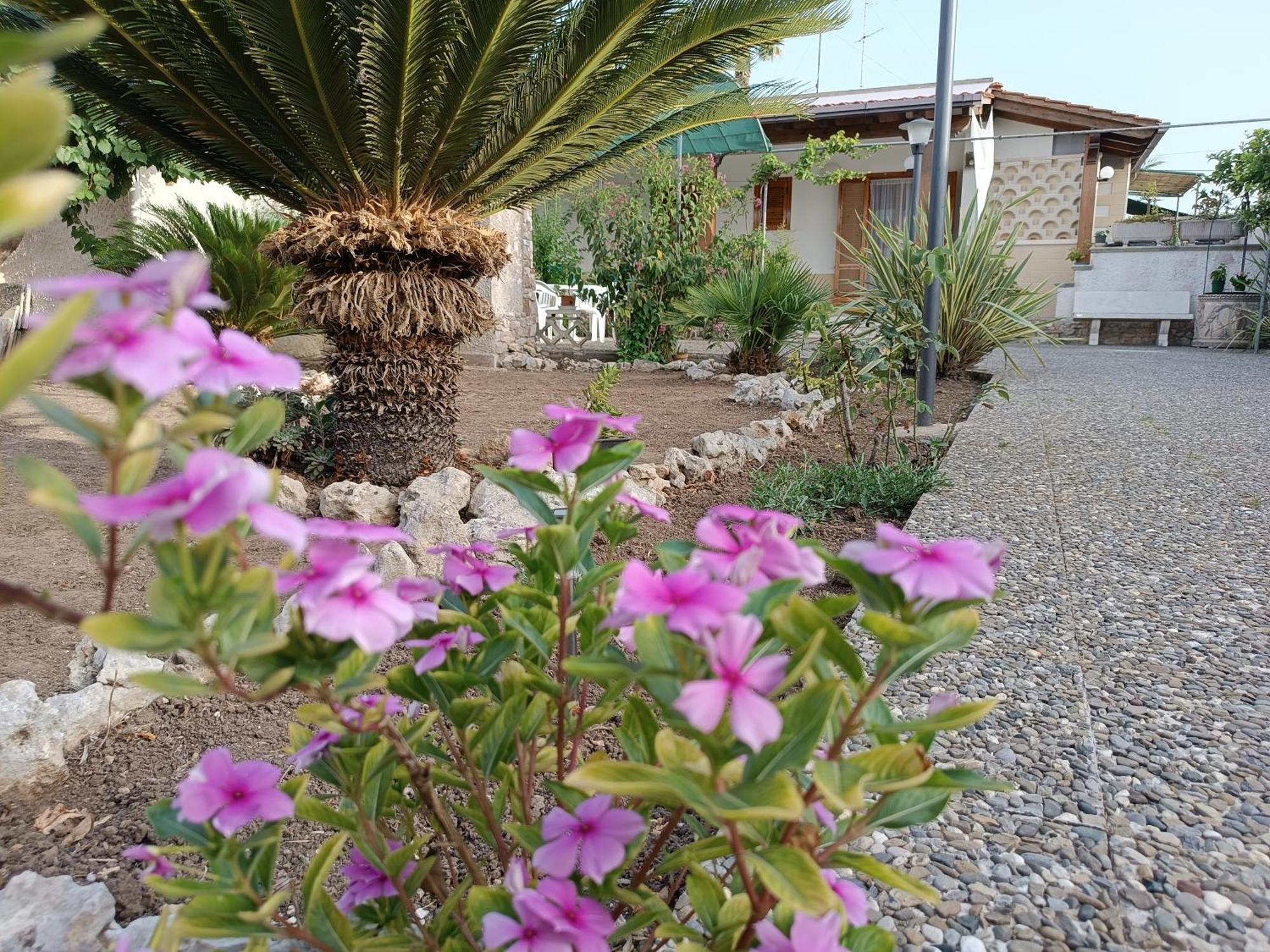 Il Giardino Di Sofia Charm And Comfort